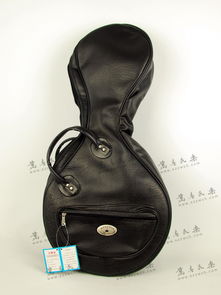 高級(jí)中阮琴包與精品中國(guó)二胡系列 民樂(lè)樂(lè)器箱包的專業(yè)選擇